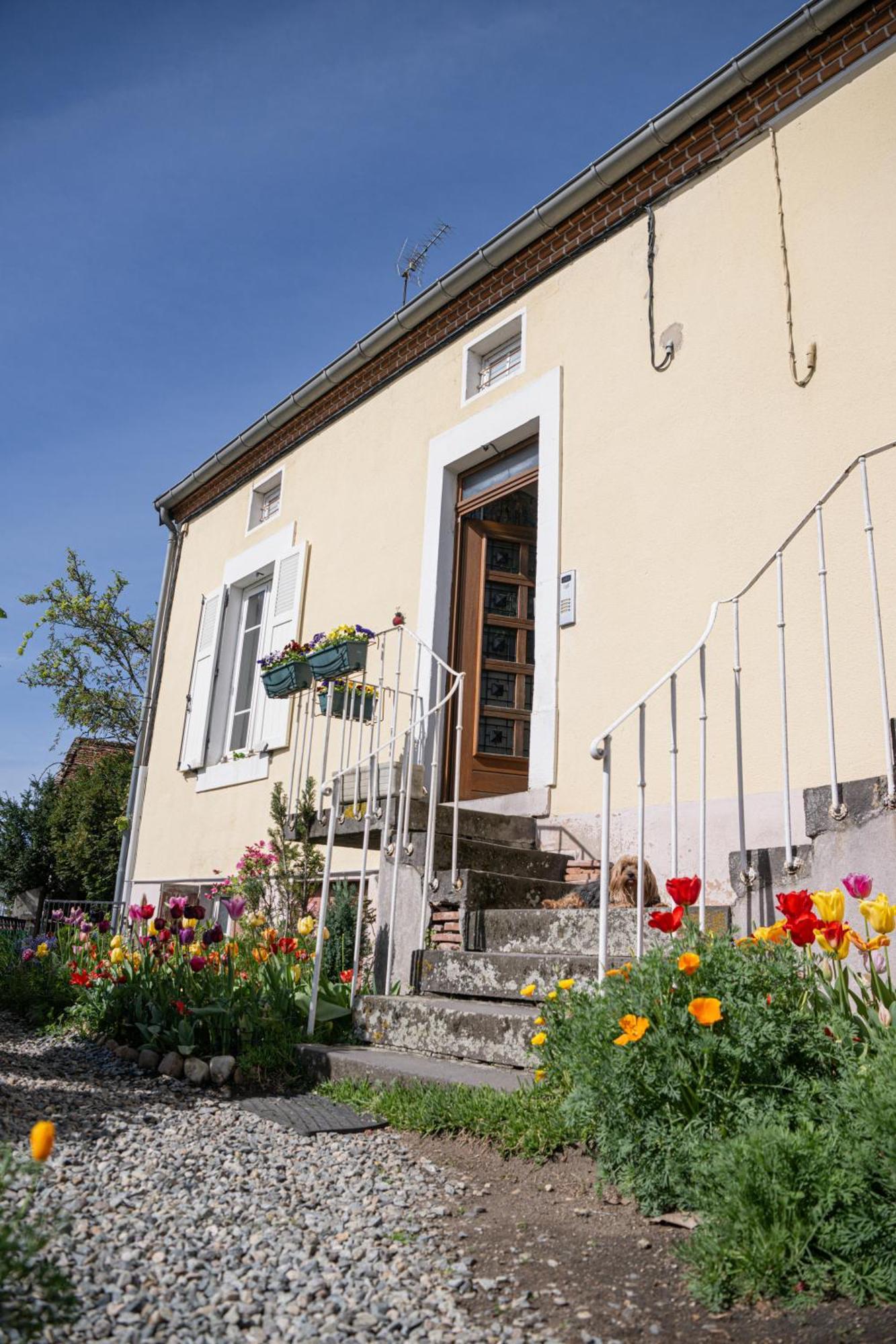 La Belle Rive Du Voyageur Apartment Bellerive-sur-Allier Exterior photo